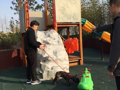 -上海崇明金茂凯悦酒店