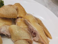 葱油白切鸡-顺德佬华侨城店·商务宴请·团建