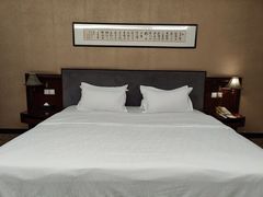 -顺德君豪酒店(佛山容桂渔人码头店)