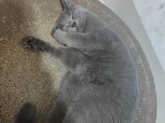 -宠颐生宠物医院外科·内科·皮肤科·影像科(石龙店)