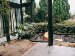 -明月山天沐温泉度假村