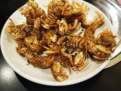 -冯姐生蚝(长隆横琴店)