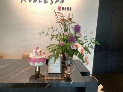 -丽妍雅集 Rubis SPA