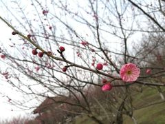 -南湖湿地公园