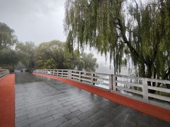 -大兴滨河森林公园