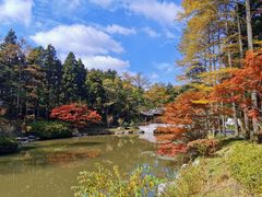-溪口商量岗景区