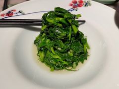 清炒豌豆尖儿-晟永興烤鸭店(五道口店)