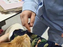 -谐和贝康宠物医院24小时·宠保定点(急重症转诊中心)