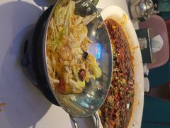 -新概念来凤鱼(璧山店)