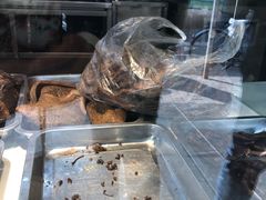 -达记卤菜店(红庙店)