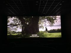 -SFC上影影城(港汇永华IMAX激光店)