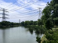 -九里河湿地公园