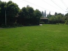 android_upload_pic-永康森林公园