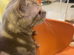 -平行世界·猫咖(首经贸店)