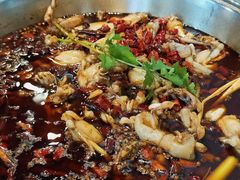 -麻辣巅峰美蛙鱼头火锅(犀浦店)