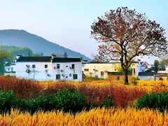 -塔川景区