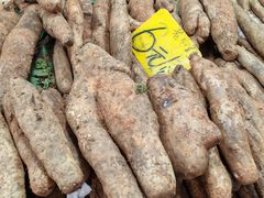 -五里多农博广场