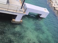 -三亚南山文化旅游区