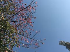 -海心沙亚运公园