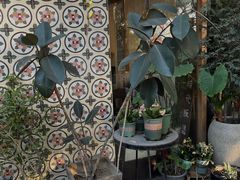 -时光花园(白鹭洲店)