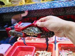 -巽寮印象美食部落餐厅·海鲜·地方特色菜(惠州体验店)