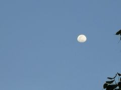 -南城百货(亭江店)