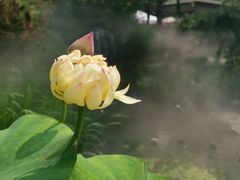 -熙古里艺术村