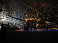 -世界恐龙谷景区