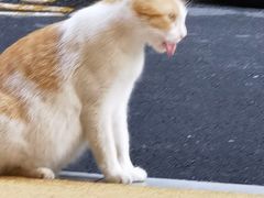 -松松咖啡
