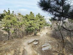 -浮山香苑