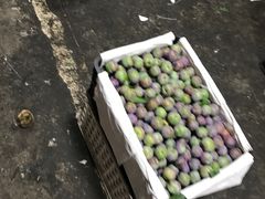 -双福水果批发市场
