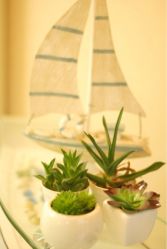 那些小盆栽-极致·本色 发型工作室