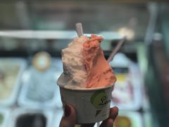 -柠檬车露(卖草地店)