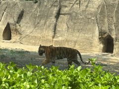 -秦皇岛野生动物园