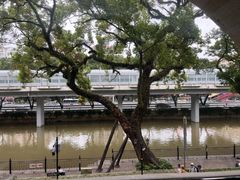 -广东胜利宾馆西关粤中餐厅