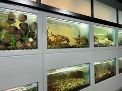 -福升海鲜洒楼