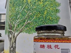 -苏州市吴中区光福窑上花果蜜饯厂