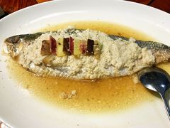 -顺德了能馆(虎门店)