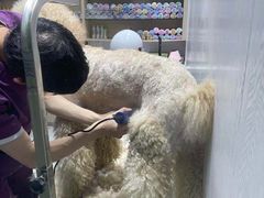 -宠颐生动物医院·小陆分院