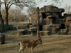 -北京动物园