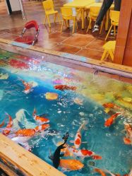 -卡通尼乐园·生日会(烟台永旺店)