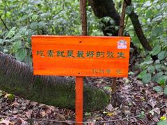 -寂照庵
