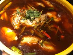 耗儿鱼-陈麻婆豆腐总店