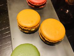 -甄御•海鲜新青岛菜(麦岛店)