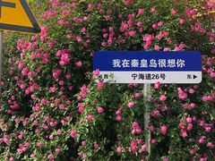 -南戴河旅游度假区