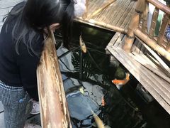 -上海大自然野生昆虫馆(东方明珠·爬宠昆虫探索中心)