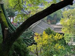 -华清宫景区