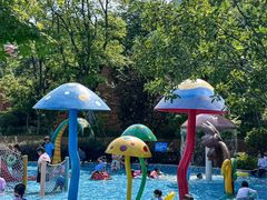 -苏州乐园森林水世界