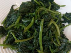 红薯苗-红色盛宴酒楼(科丰桥店)