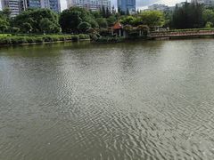 -深圳龙潭公园